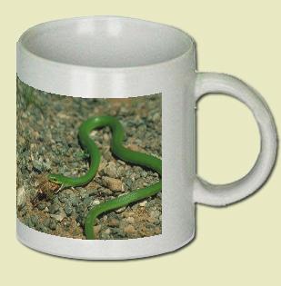 Smooth Green Snake Coffee Mug