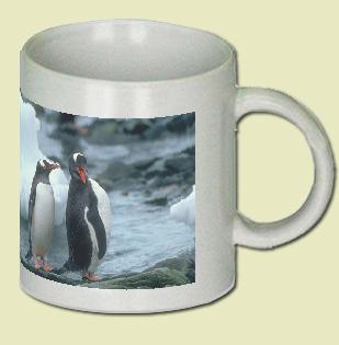 Gentoo Penguin Coffee Mug