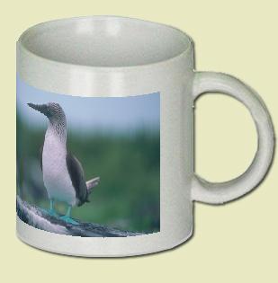 Blue-Footed Booby Coffee Mug