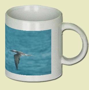 Blue-Footed Booby Coffee Mug