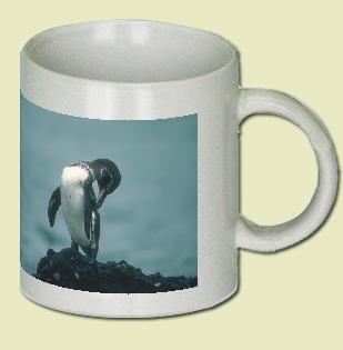 Galapagos Penguin Coffee Mug