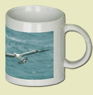 Masked Booby Coffee Mug