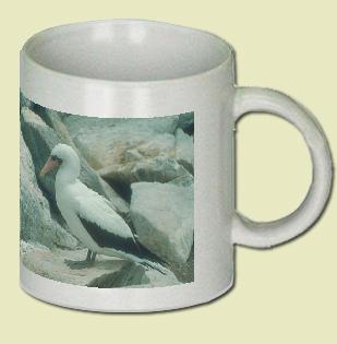 Masked Booby Coffee Mug