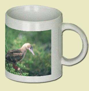 Red-footed Booby Coffee Mug