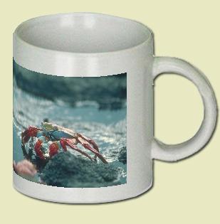 Sally Lightfoot Crab Coffee Mug