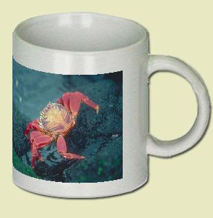 Sally Lightfoot Crab Coffee Mug