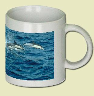 Common Dolphin Coffee Mug