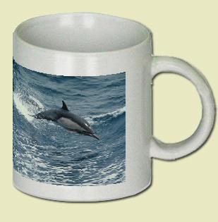 Long-beaked Common Dolphin Coffee Mug