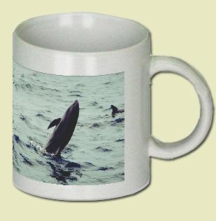 Melon-headed Whale Coffee Mug