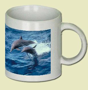 Spinner Dolphin Coffee Mug