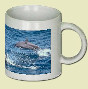 Spinner Dolphin Coffee Mug