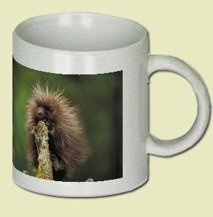 Porcupine Coffee Mug