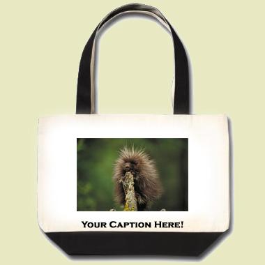 Porcupine Tote Bag