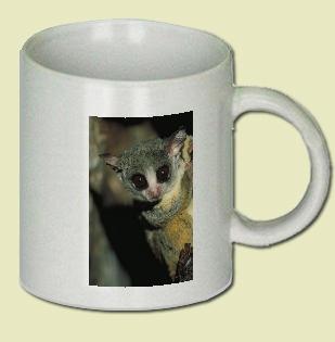 Senegalese Bush Baby Coffee Mug