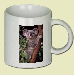 Koala Coffee Mug