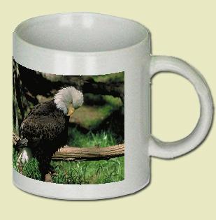 Bald Eagles Coffee Mug