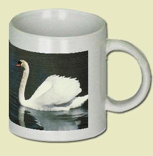 Mute Swan  Coffee Mug