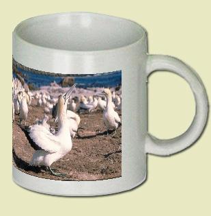 Cape Gannet Coffee Mug