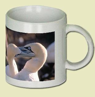 Cape Gannet Coffee Mug