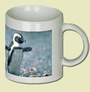 Cape Penguin Coffee Mug