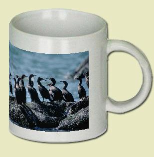 Cormorant Coffee Mug