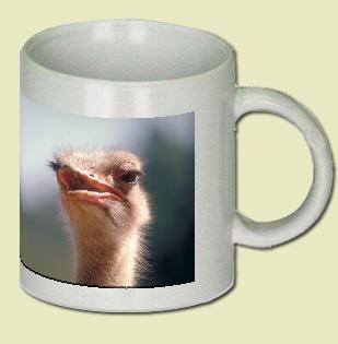 Ostrich Coffee Mug