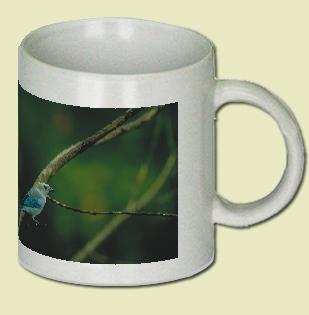 Blue-Gray Tanager Coffee Mug