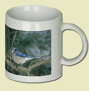 Blue Jay Coffee Mug