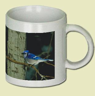 Blue Jay Coffee Mug