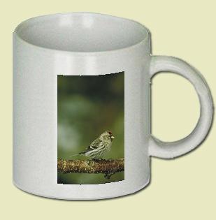 Common Redpoll Coffee Mug