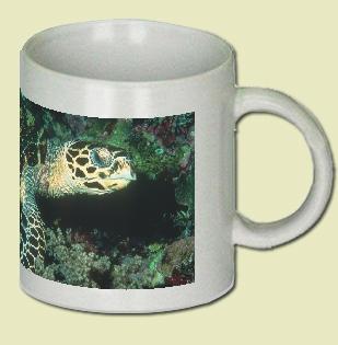 Hawksbill Turtle Coffee Mug