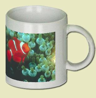 Tomato Clownfish Coffee Mug