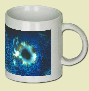 Tridacna Clam Coffee Mug