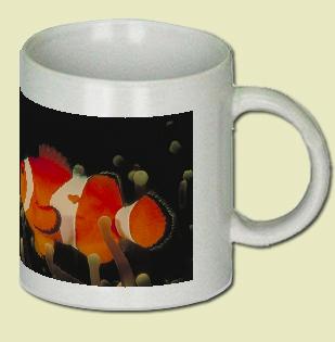 Clown Anemone Fish Coffee Mug