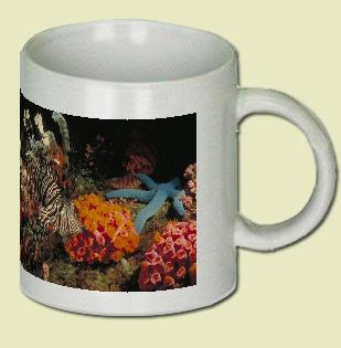 Lionfish Coffee Mug