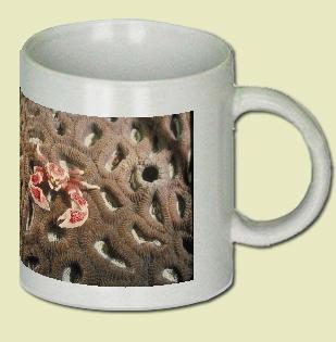 Porcelain Crab Coffee Mug