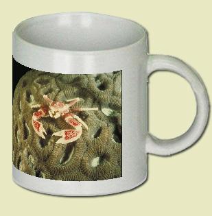 Procelain Crab Coffee Mug