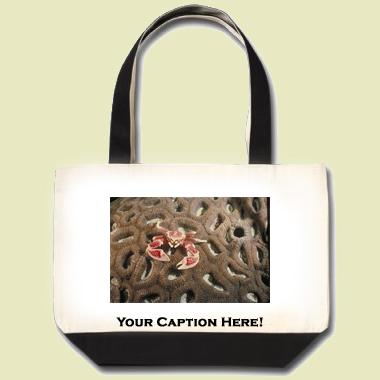 Porcelain Crab Tote Bag