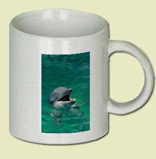 Dolphin Coffee Mug