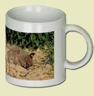 Eurasian Lynx Coffee Mug