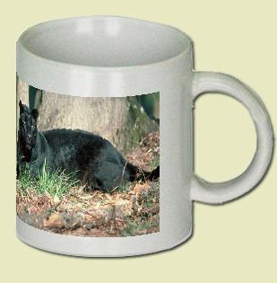 Leopard Coffee Mug