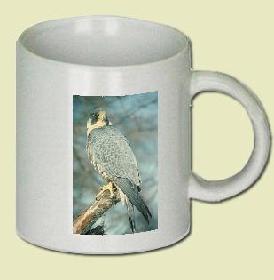 Peregrine Falcon Coffee Mug