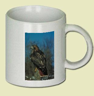 Red-Tailed Hawk Coffee Mug