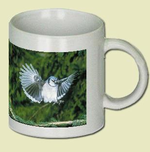 Blue Jay Coffee Mug