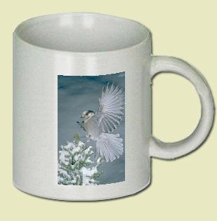 Gray Jay Coffee Mug