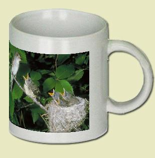 Traill's Flycatcher Coffee Mug