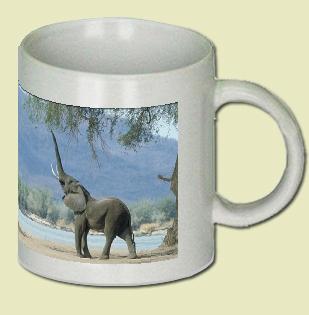 African Elephant Coffee Mug