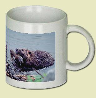 Beaver Coffee Mug