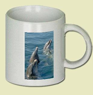 Dolphin Coffee Mug