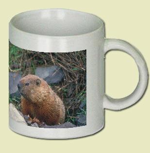 Groundhog Coffee Mug